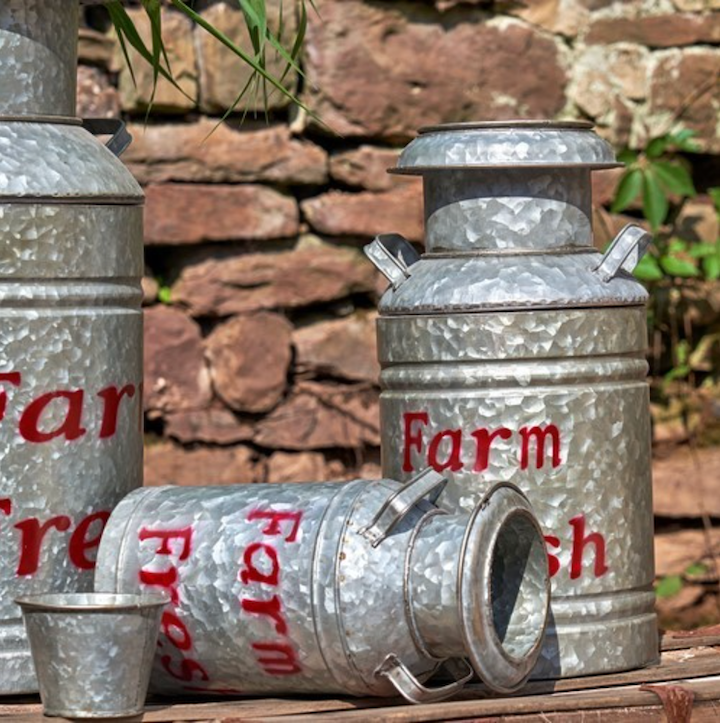 Thumbnail: Old-fashioned galvanized, metal milk can planters