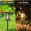 Thumbnail: Solar Garden Pathway Lights, 8 Pack