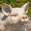 Thumbnail: Hand Painted Ceramic Pig Planter, Flower Pot
