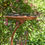 Thumbnail: 32" Tall Shallow Iron Birdbath with Branch Stand, Copper