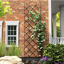 Panacea Giant Trellis, Black, 108"H