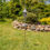 Thumbnail: 66" Tall Iron Birdhouse Stake "Verona", Antique Silver