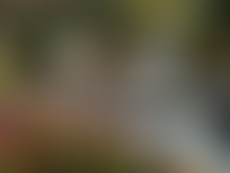 Installing Rain Chains in Your Garden - Rain Chain Installation Tips