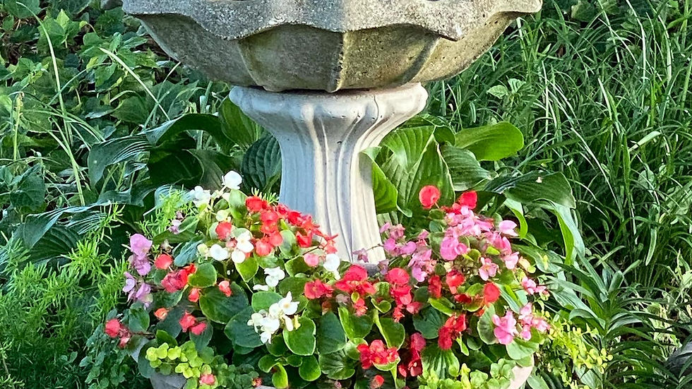 A stone birdbath with colorful flowers at its base, set in a lush green garden with ivy and plants, creating a serene, natural vibe.