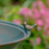Thumbnail: 28.75" Tall Round Pedestal Birdbath with Bird Details, Copper/Bronze