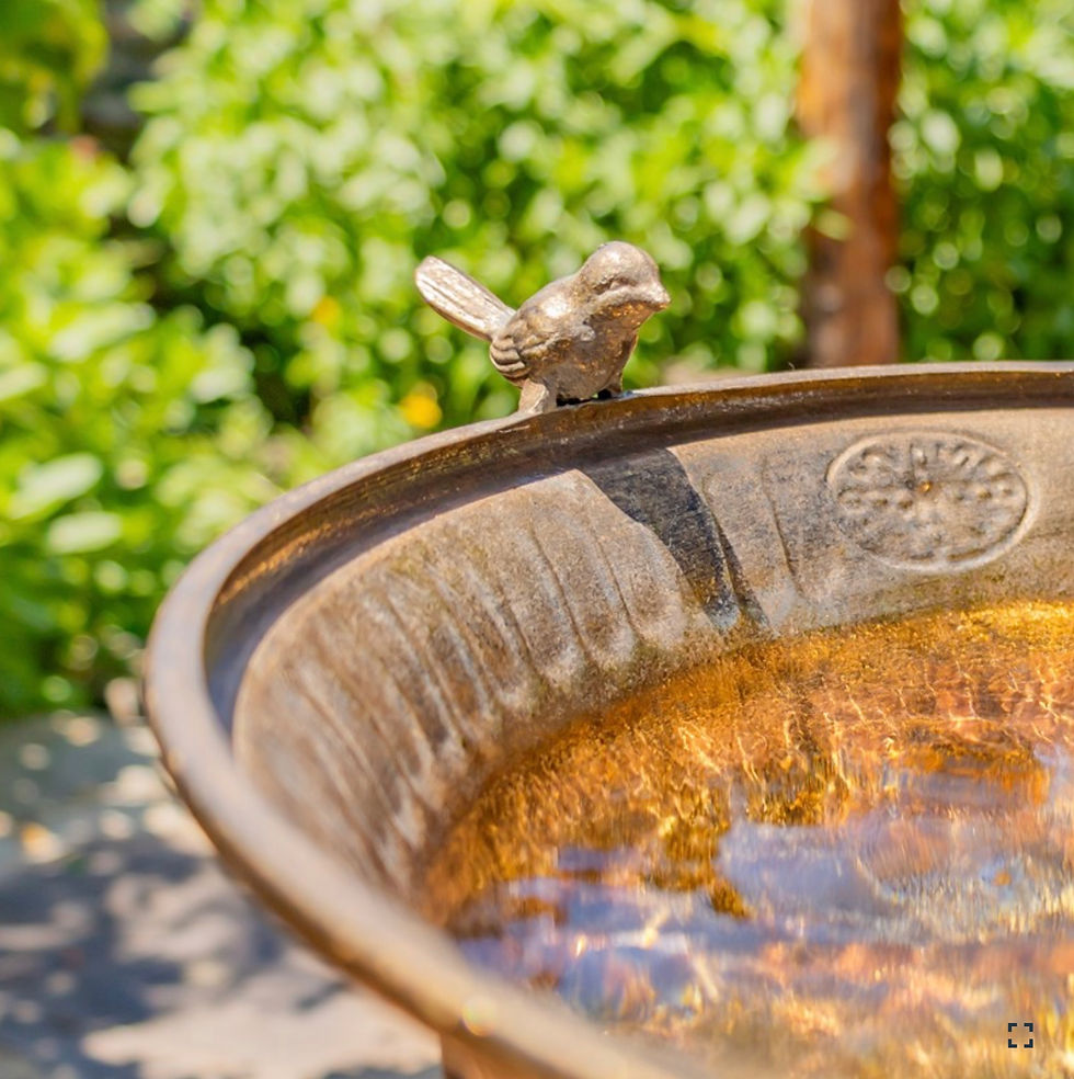 Thumbnail: 25.4" Tall Dark Gold Birdbath-Feeder with Ornate Stand
