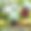 Thumbnail: Glass Hummingbird Feeder