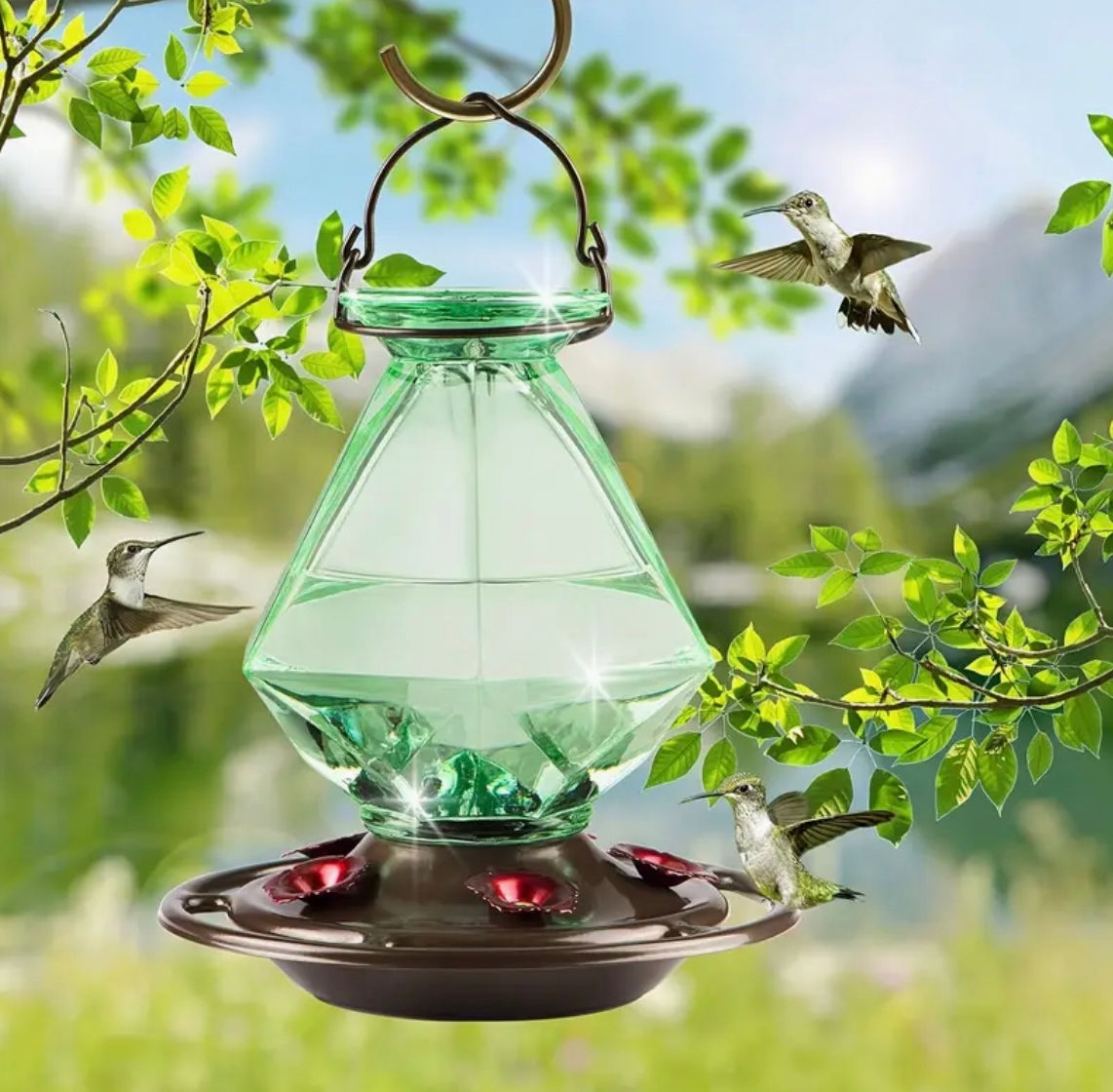 Glass Hummingbird Feeder