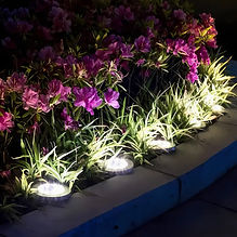 Solar Ground Lights, 12 Pack