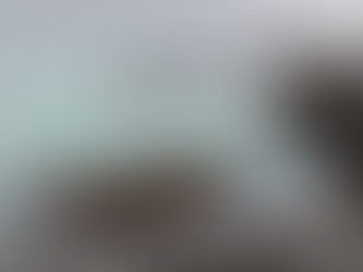 HERRING SPAWN ON VANCOUVER ISLAND