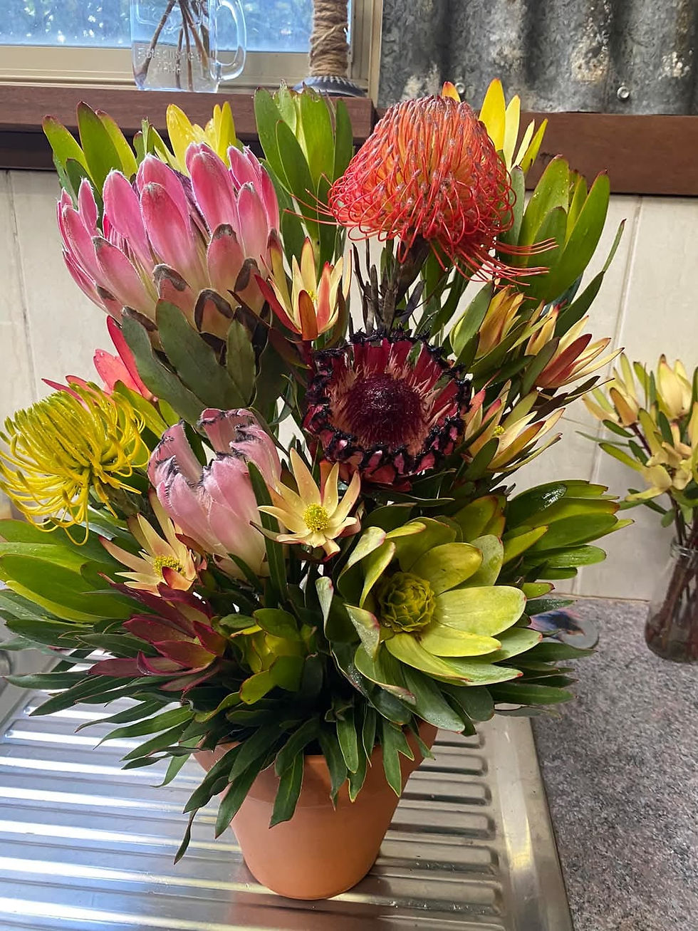 Thumbnail: FRESH &  DRIED Wildflower /NATIVES