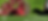 WEBSITE ACTUAL ty (39).png
