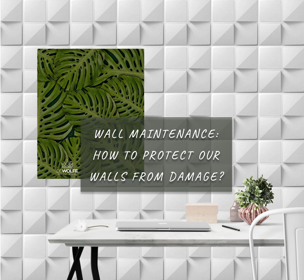 Wall Maintenance How To Protect Our Walls From Damage?