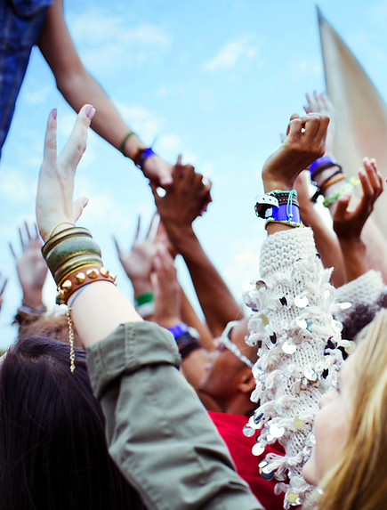 festival Crowd