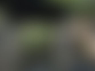 天草　下田温泉　五足の靴