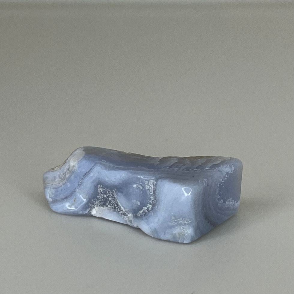 Thumbnail: Specimens