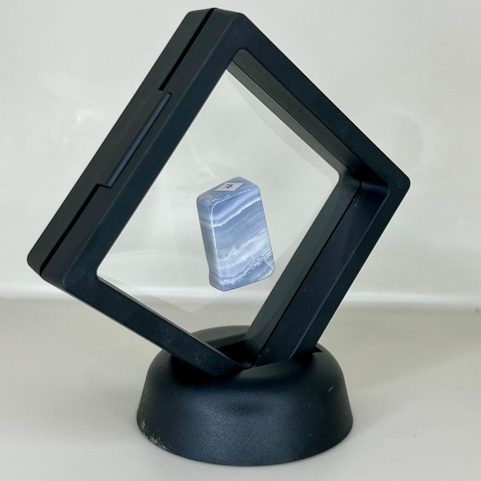 Thumbnail: Specimens