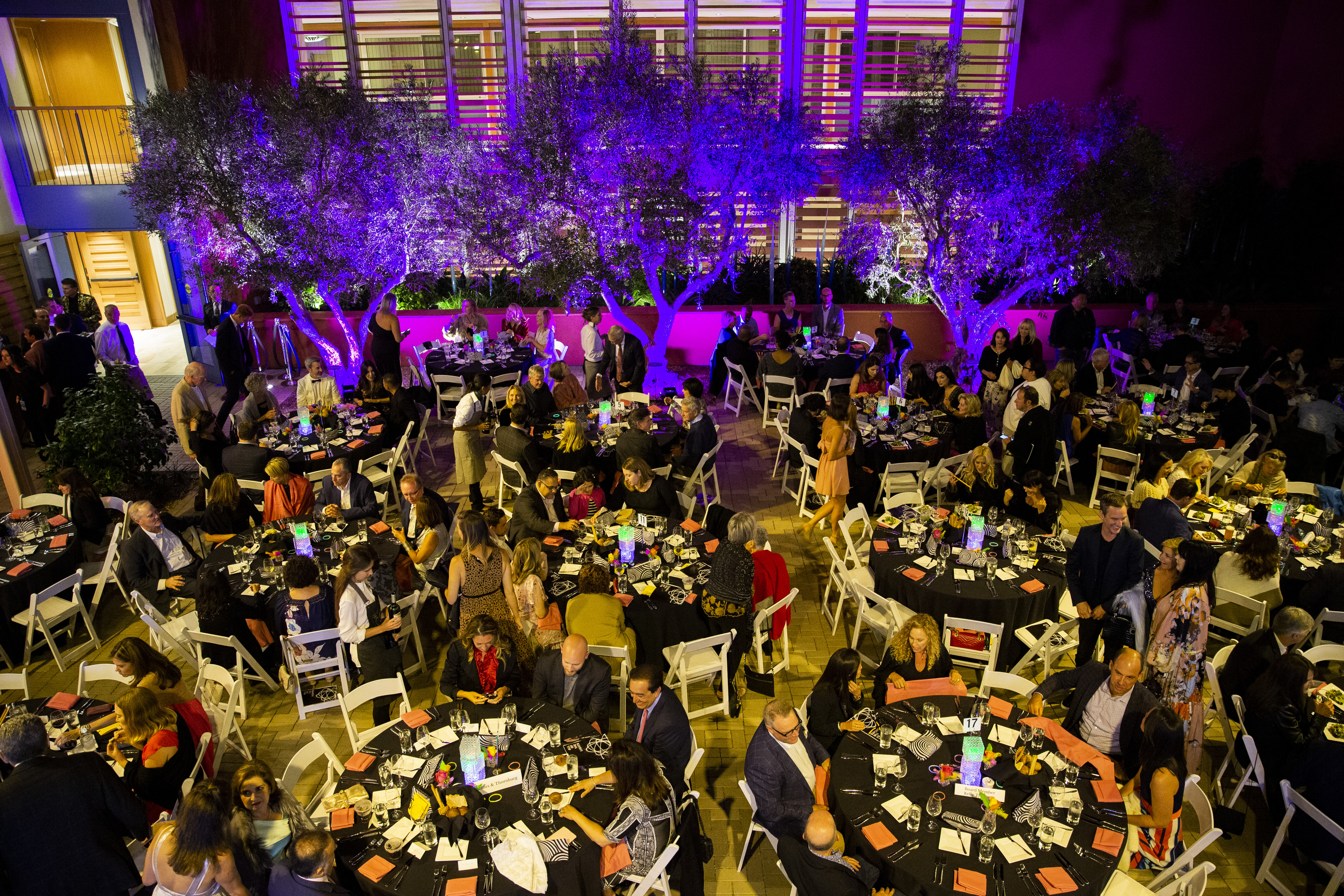 Shutter & Stout Gala 2019