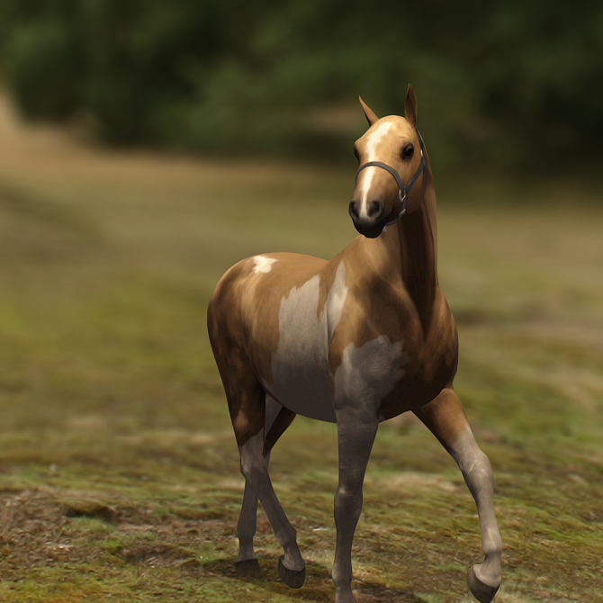 slider1.png