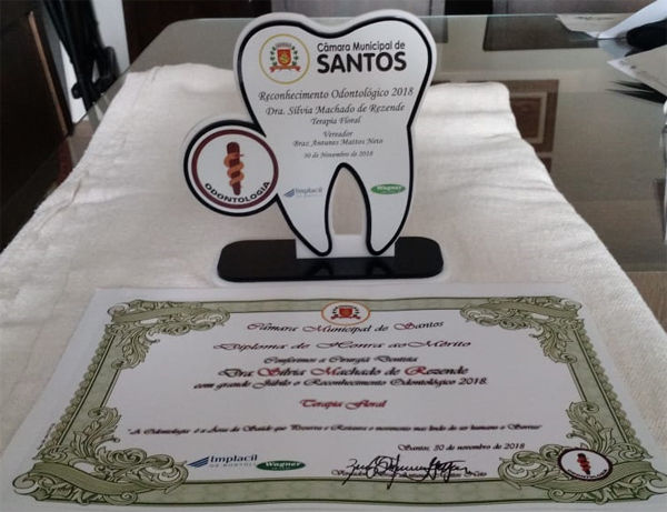 Câmara Municipal de Santos (SP) faz homenagem à Dra. Silvia Machado Rezende