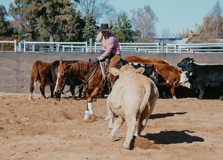 Big Boy Uralla.jpg