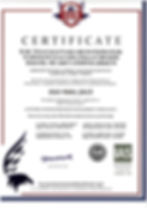 İCDC Servis 9001 Certificate