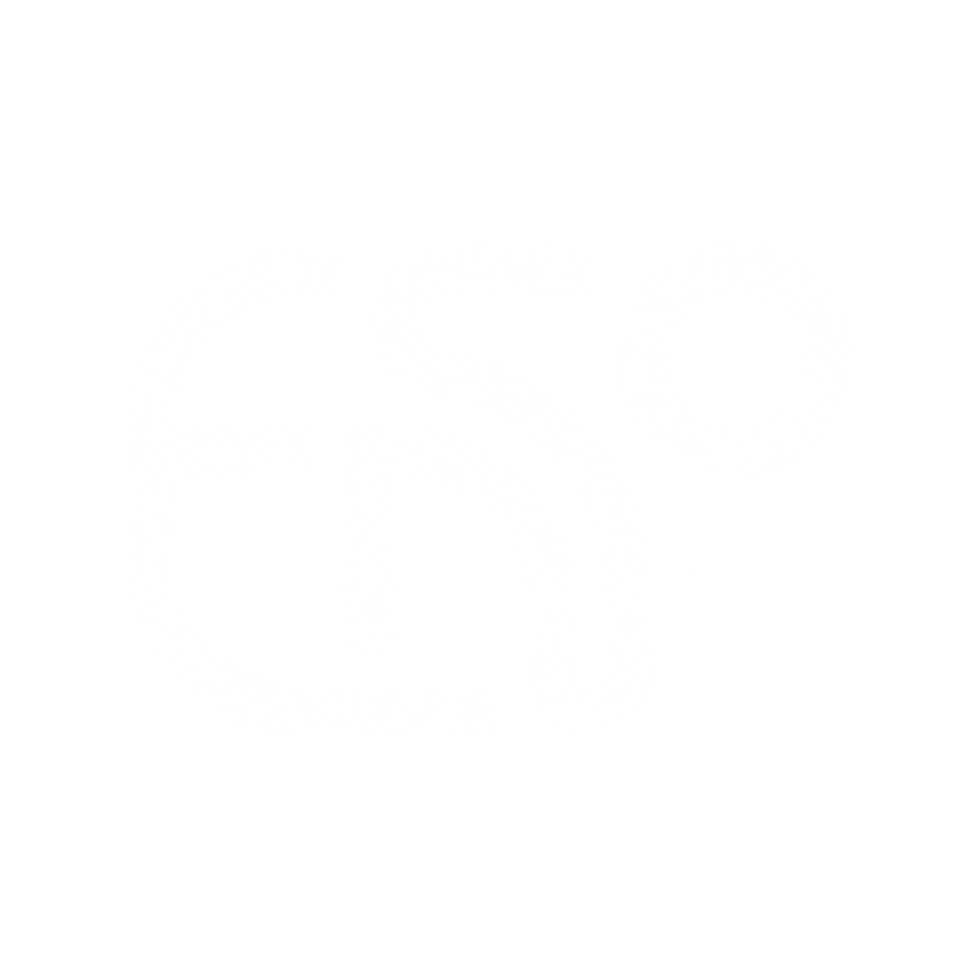 Enso Logo-02.png