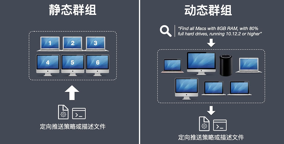 静态和动态群组.jpeg