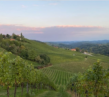 Bildschirmfoto 2025-04-29 um 08.51.03 Kopie.png