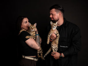 L'amour inconditionnel de vos compagnons