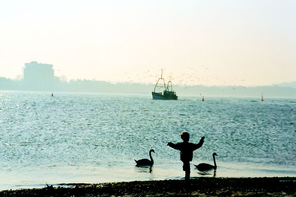 Three Swans/Niendorf/GER