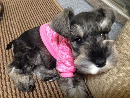 プロフィール作成