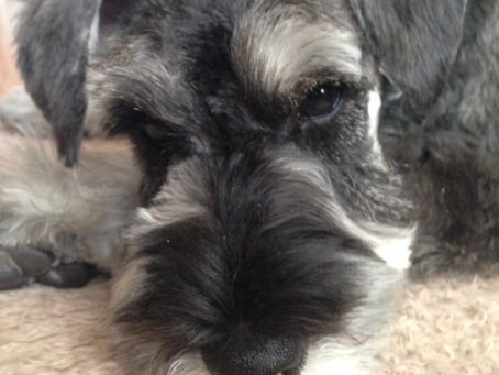 ロゴマークについて考える!