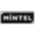 MIntel