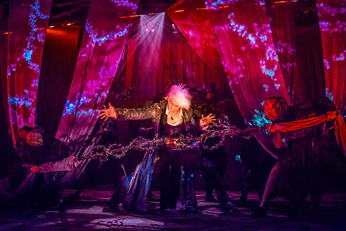 small Sleeping-Beaty-042.jp2