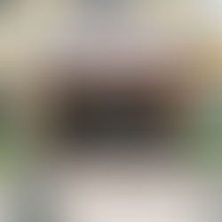 Jeni's Splendid Ice Creams 