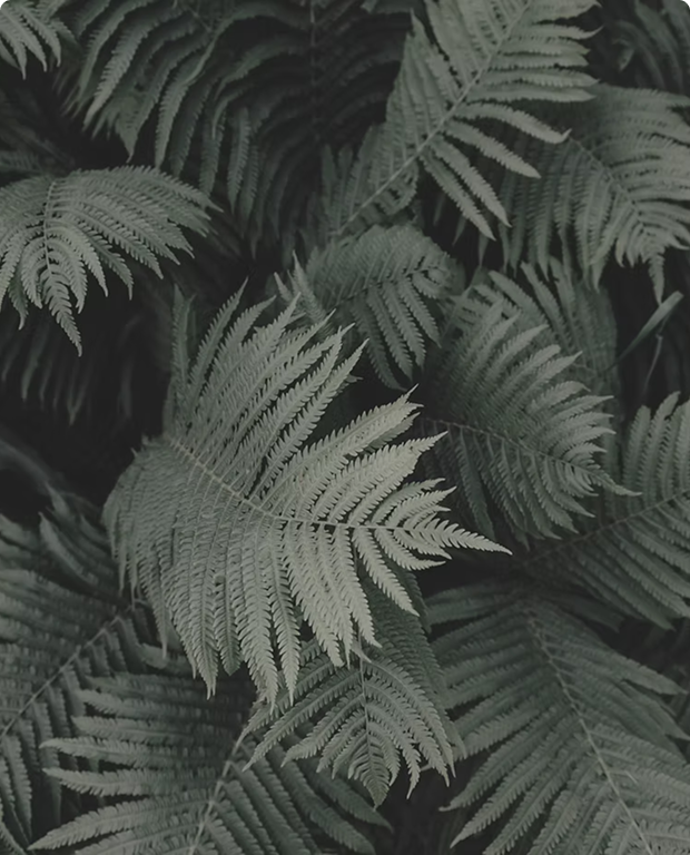 5.png