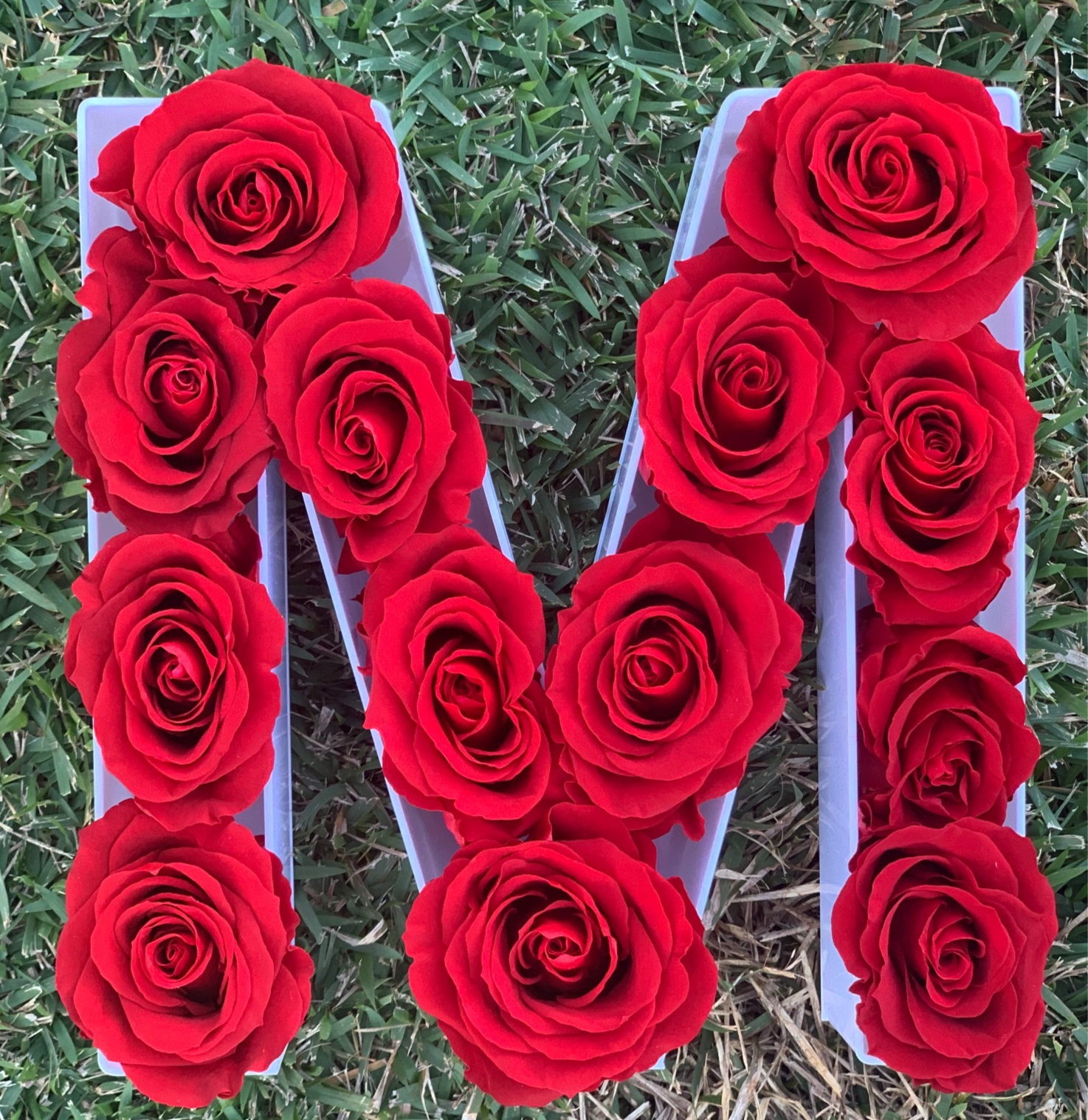 Caixa acrílico letra "M" com rosas cor clássica