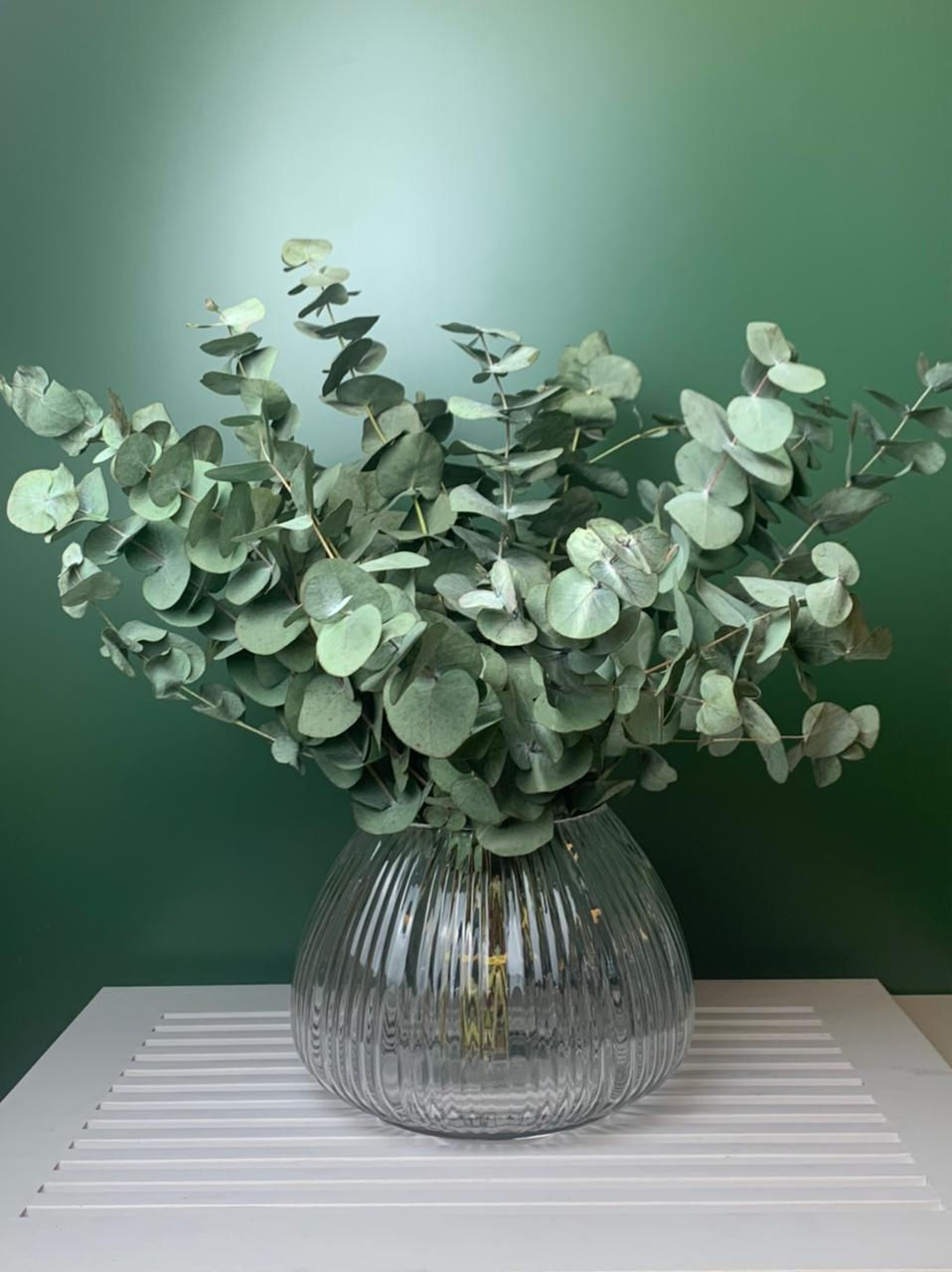 Miniatura: Arranjo de eucalipto seco Eudora