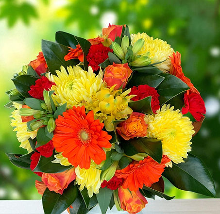 bright-Photoroom.jpg