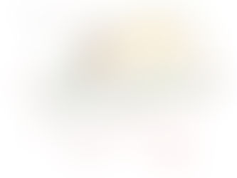 東側から見た外構