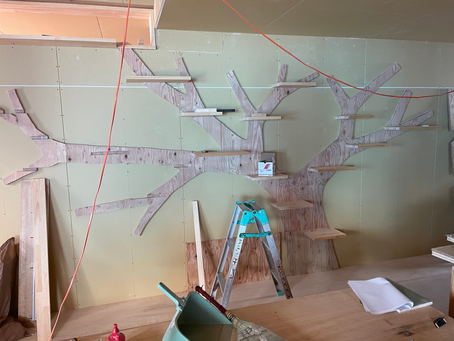 necotto巨大キャットステップ進捗状況!