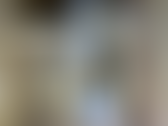 necotto賃貸はロフトが広い!!