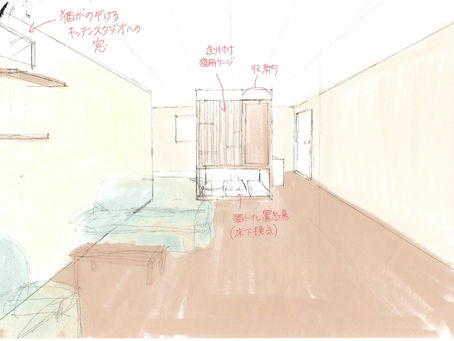 necotto打ち合わせ風景
