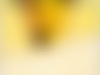 泣ける猫の絵本