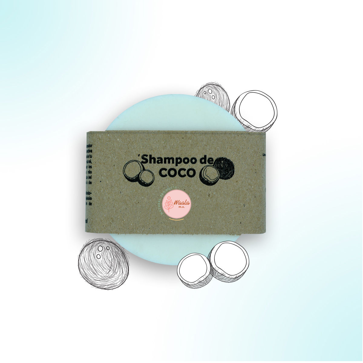 Shampoo de Coco