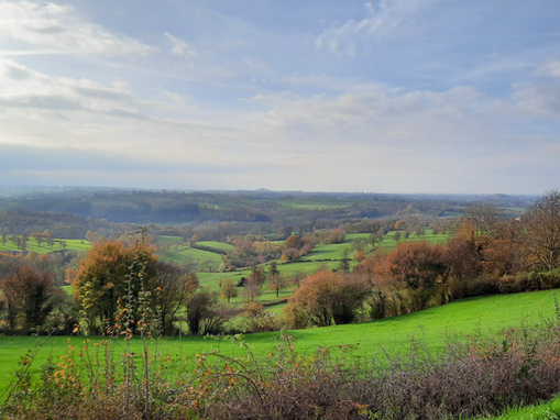 Centralités rurales et recomposition territoriale