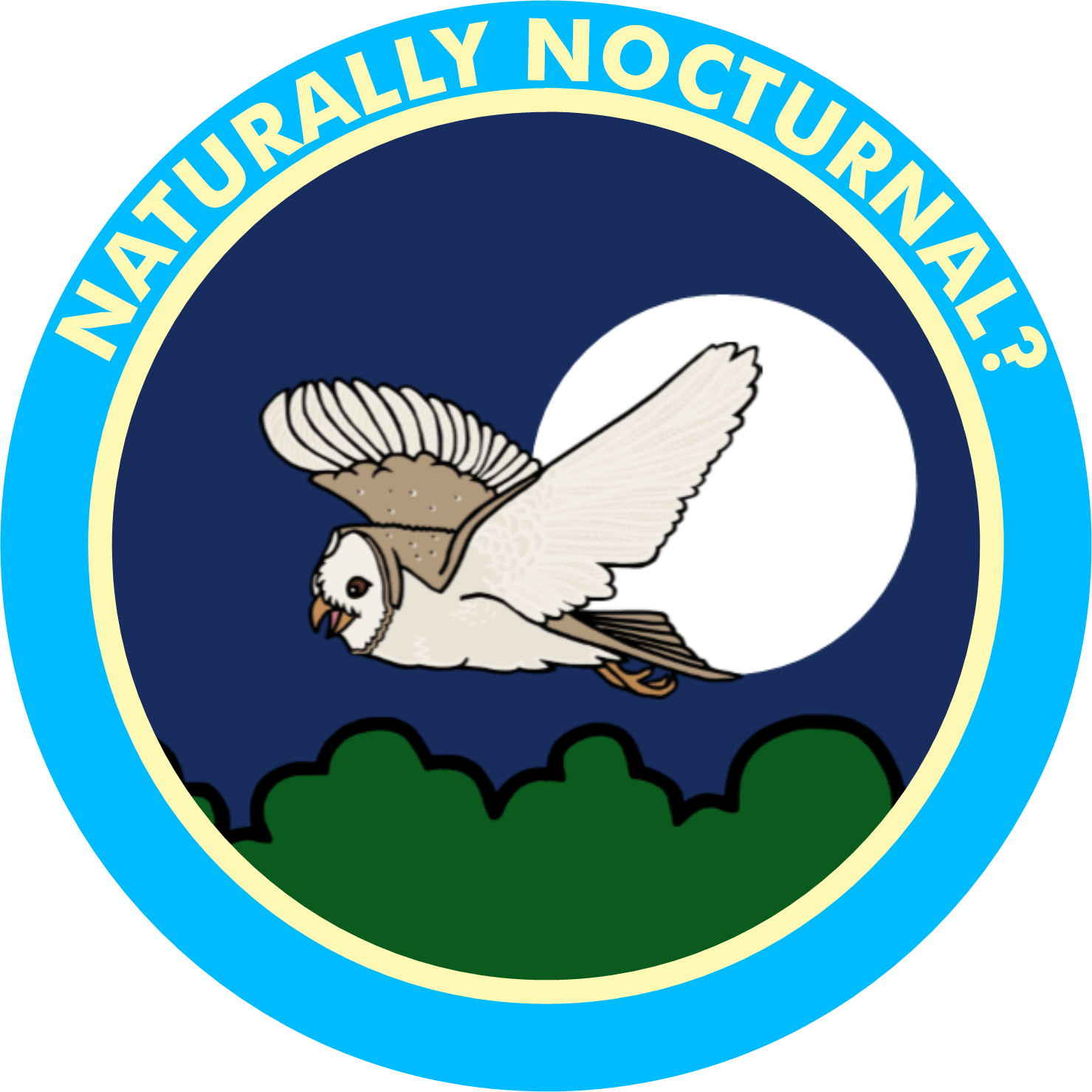 NaturallyNocturnal.gif