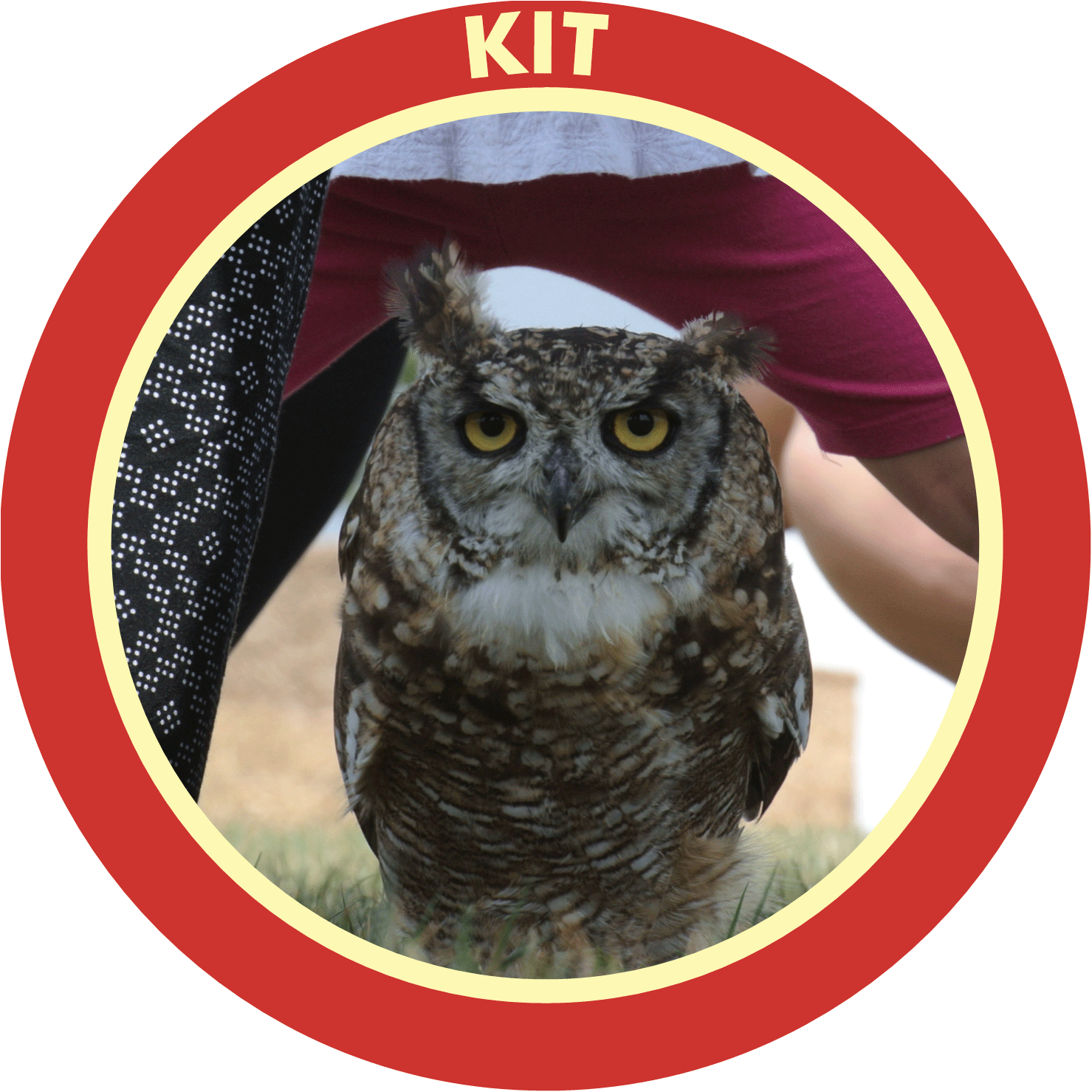 ButtonKit.gif