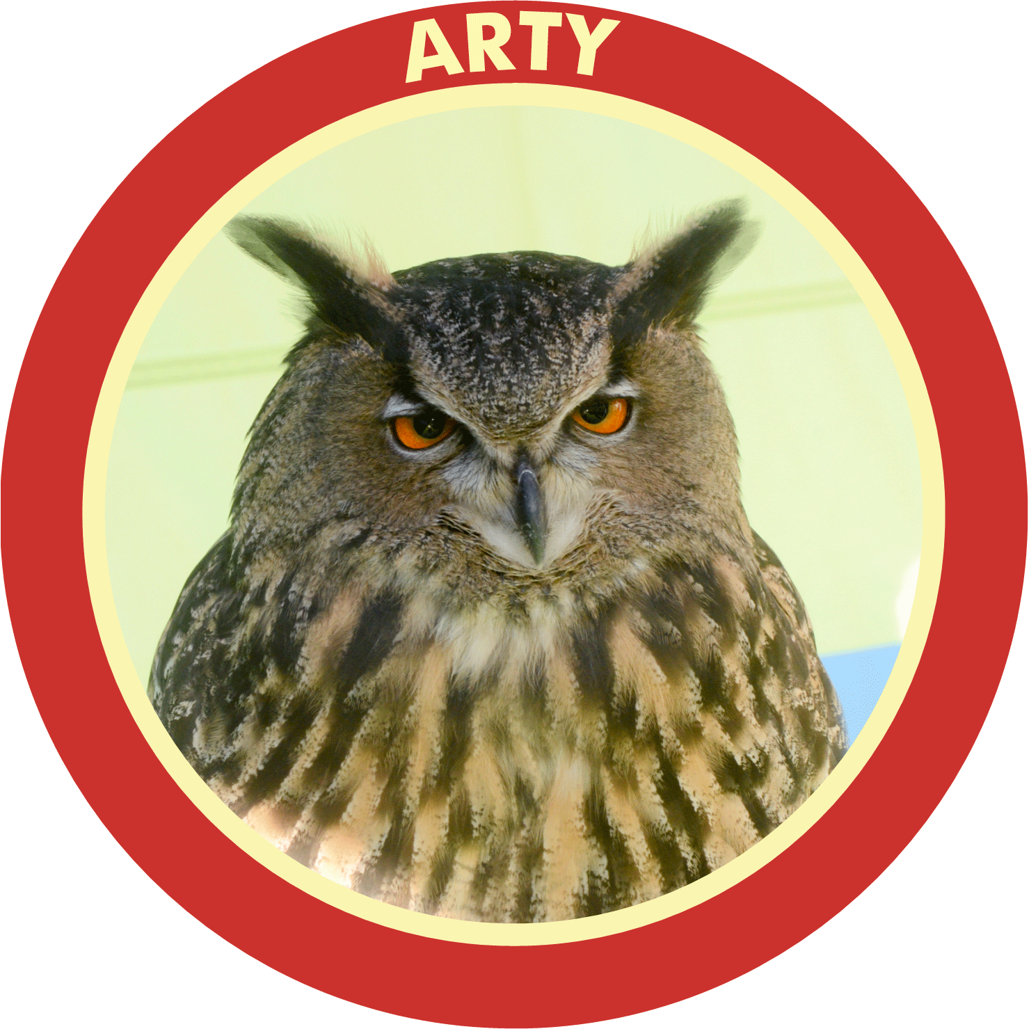 ButtonArty.gif
